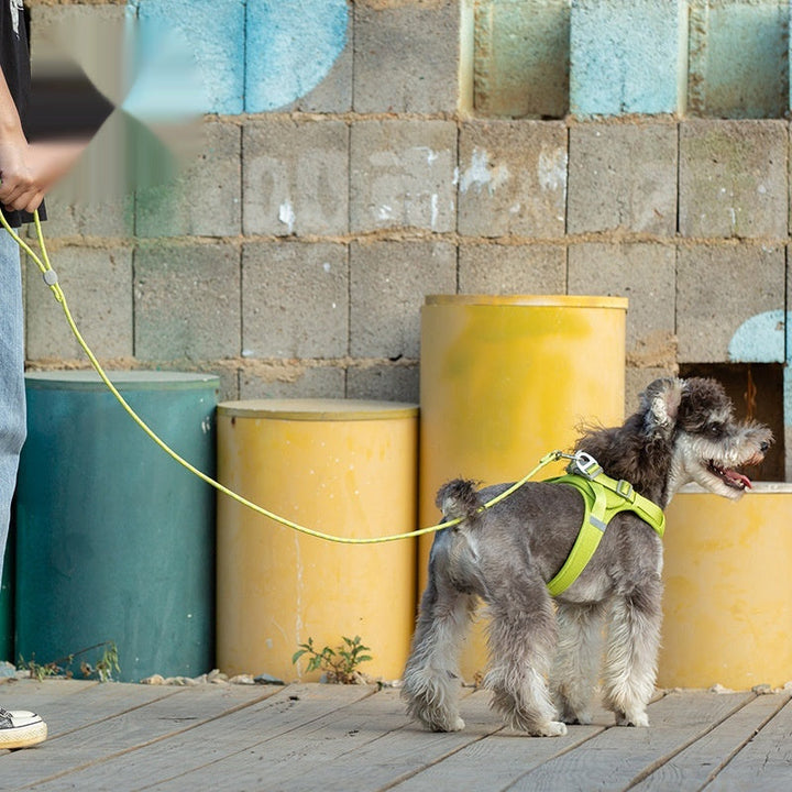 Colorful Adjustable Pet Leash For Outdoor Walks