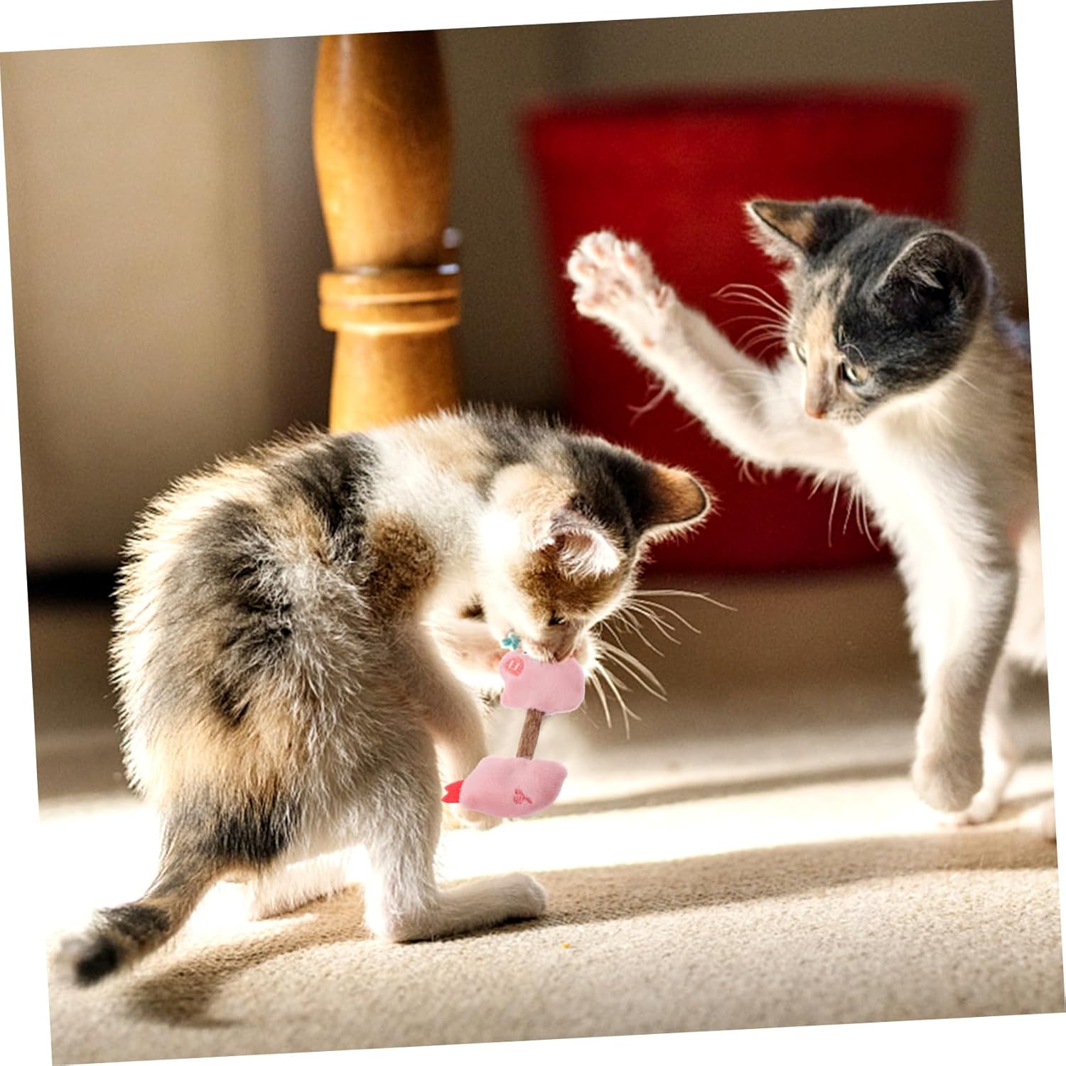 Enhance Your Cat's Dental Health with Silvervine Pet Chew Sticks