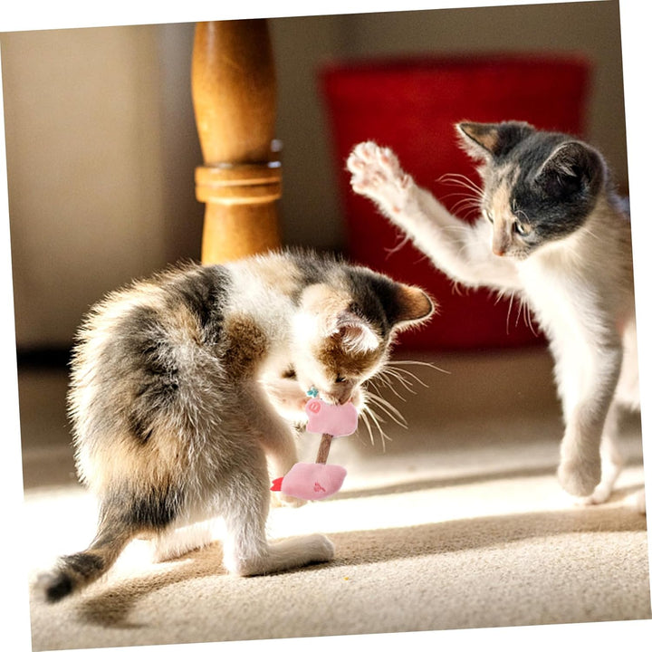 Enhance Your Cat's Dental Health with Silvervine Pet Chew Sticks